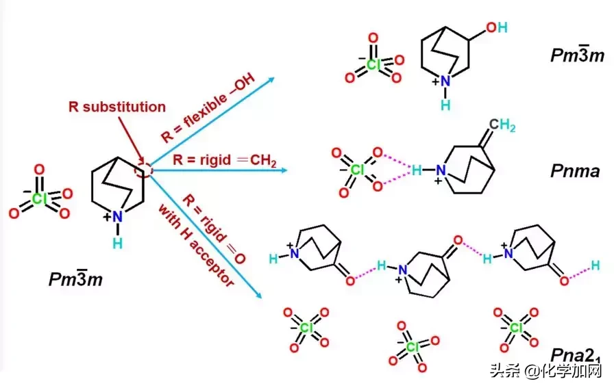 厉害！南昌大学本科生团队在化学领域顶级期刊《JACS》发表论文