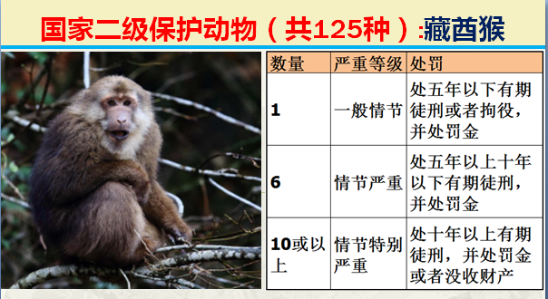 二级保护动物（国家最新125类二级野生保护名录）