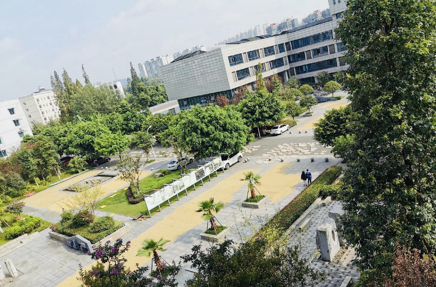 农业大学学生日常学习走红，图书馆前晒谷子，别人上课他们下田