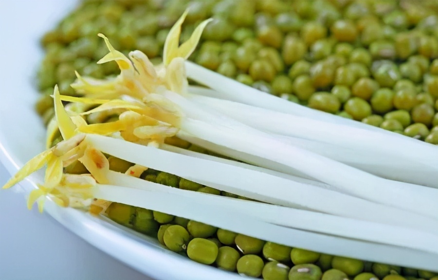 哪些蔬菜发芽后能吃，哪些不能吃？或许很多人浪费了