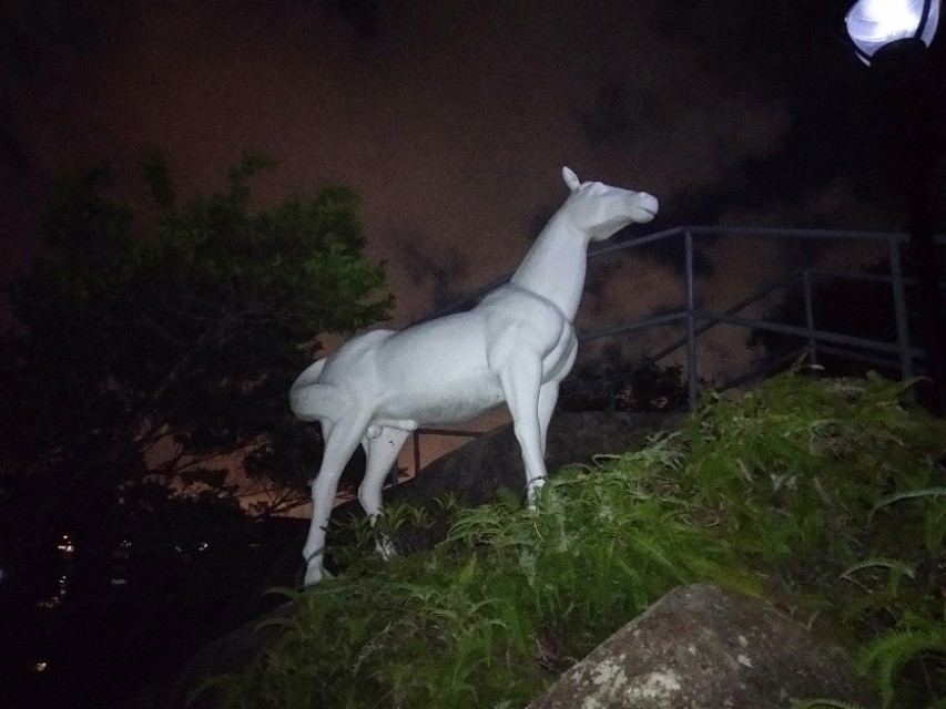 珠海的美毋庸置疑！吉大的由来，你信哪一个