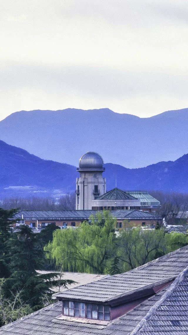 你的理想大学，终于被做成了手机壁纸