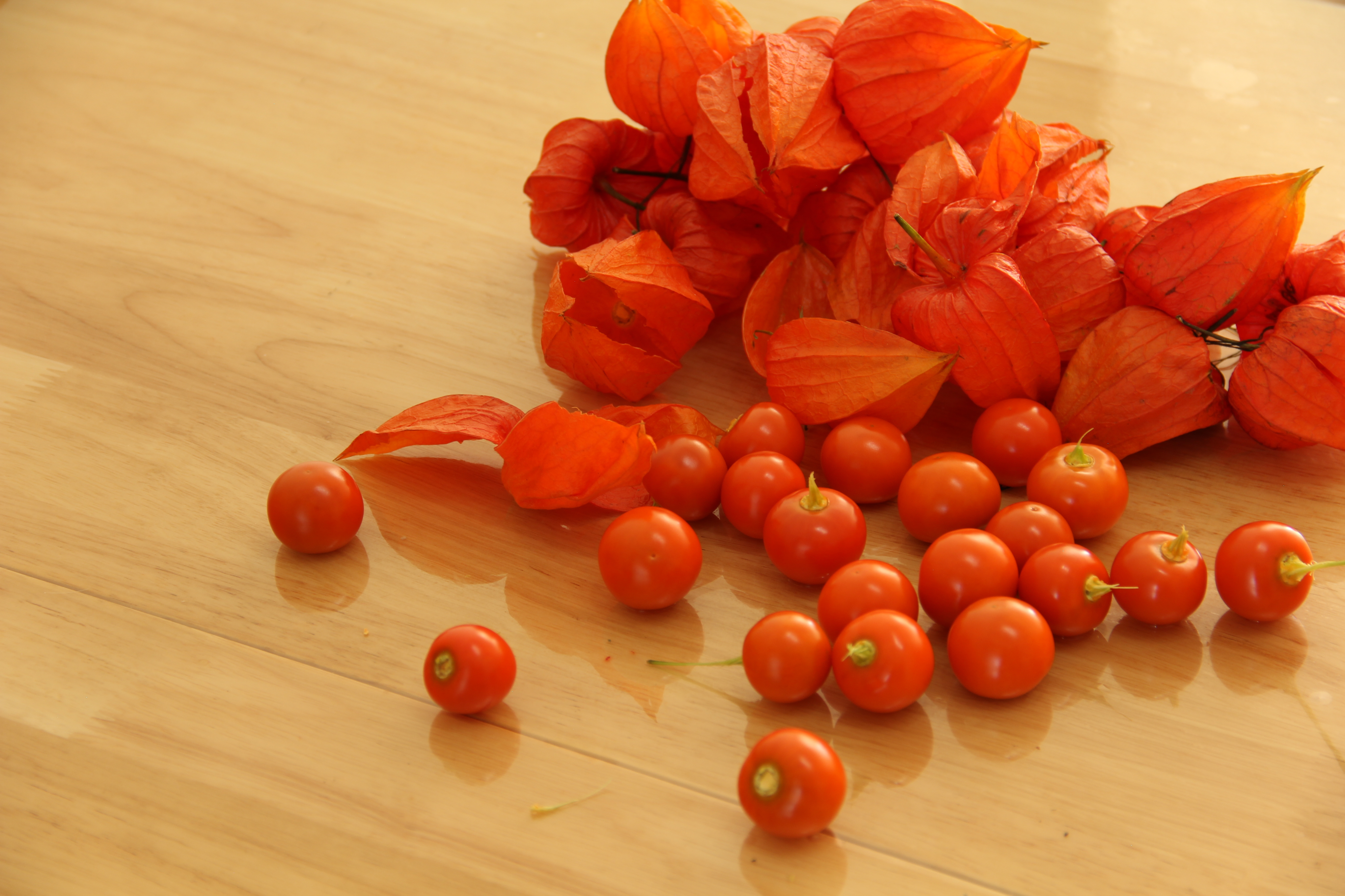 红姑娘的功效与作用 红姑娘泡水喝的功效-徐拾记官网