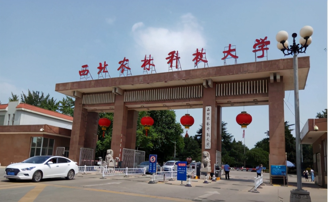 这四所高校被评为“B类”，下一轮有可能降级，学生提前了解