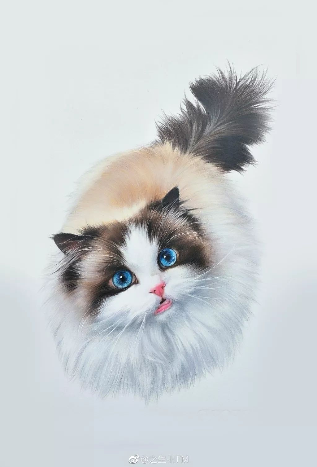 95后画了一组彩铅，绝了