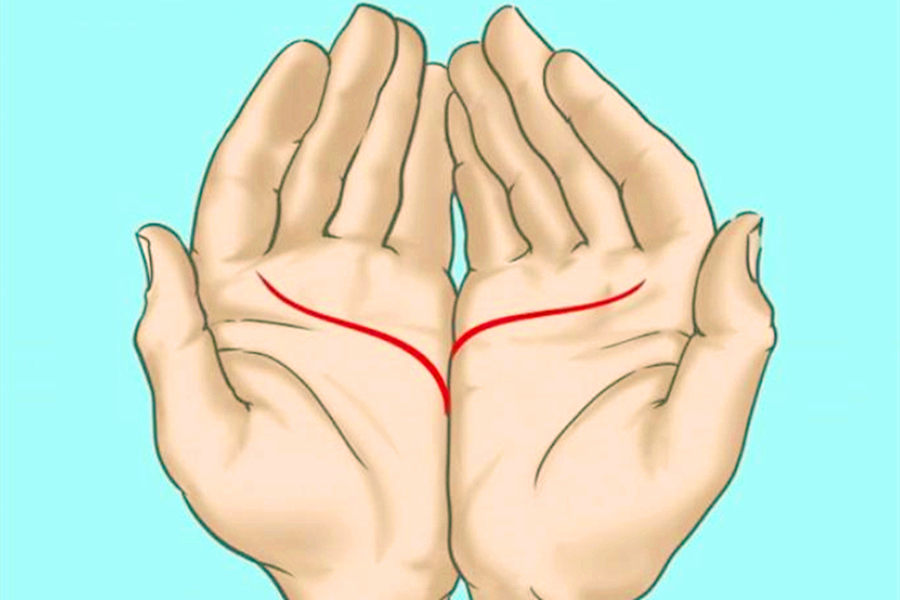 掌纹中的"感情线"隐藏着你选择恋人的秘密?测测你的择偶倾向吧