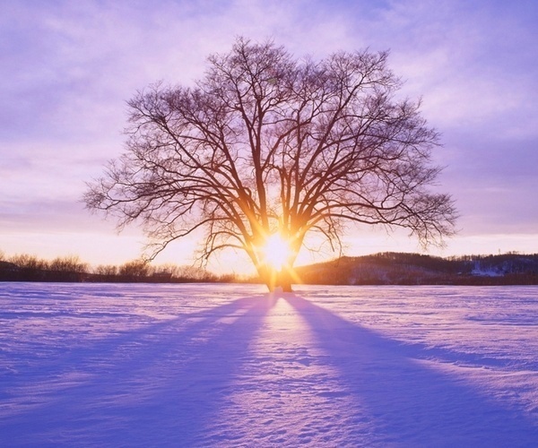 山东高校投档分数线出炉啦