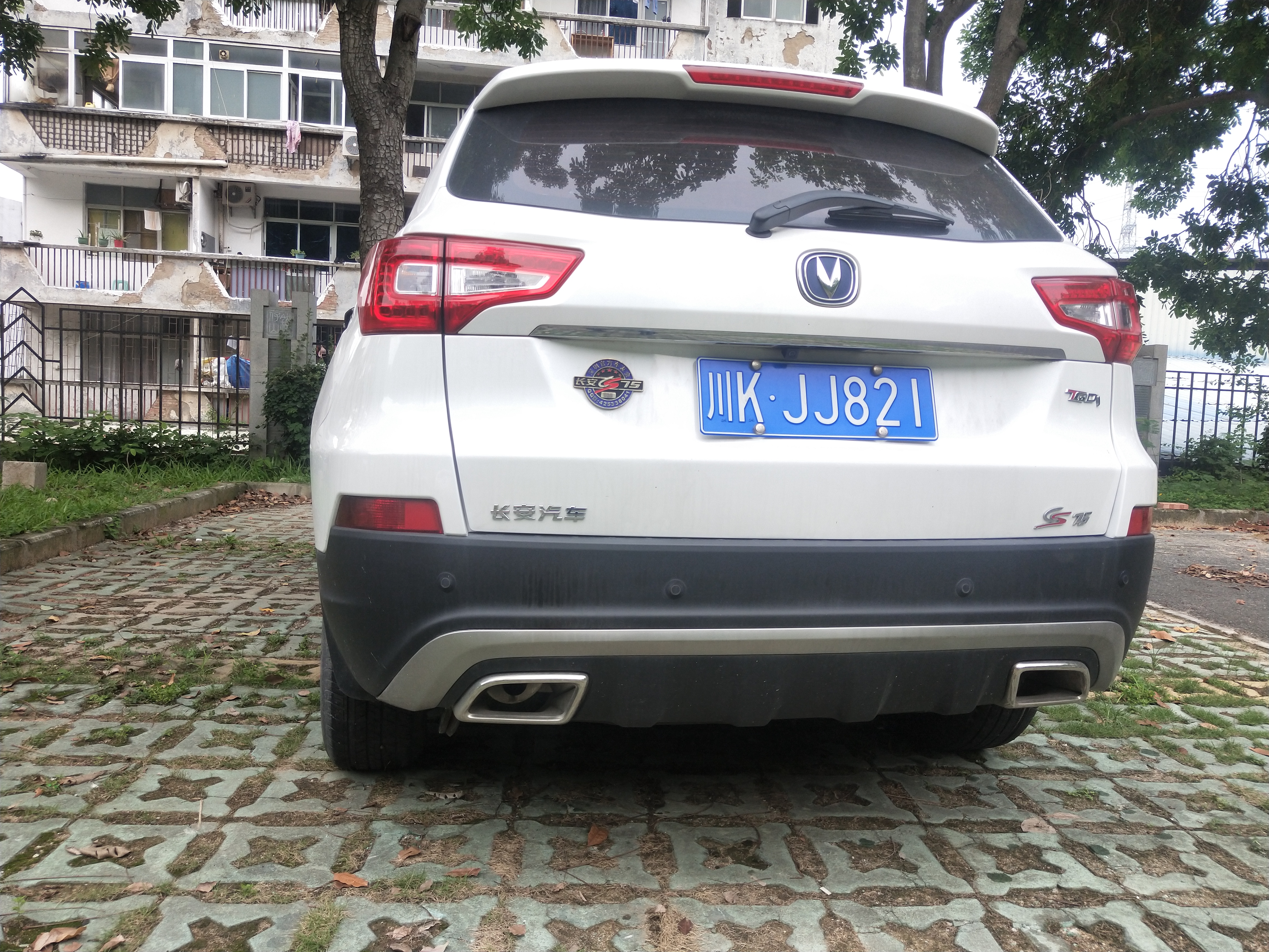 汽车车灯大全解细