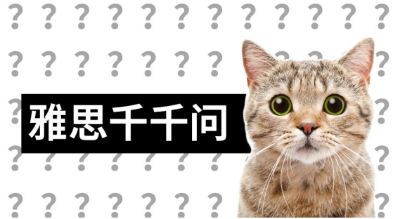 雅思小白快收藏，考试遇到的各类问题入门指南