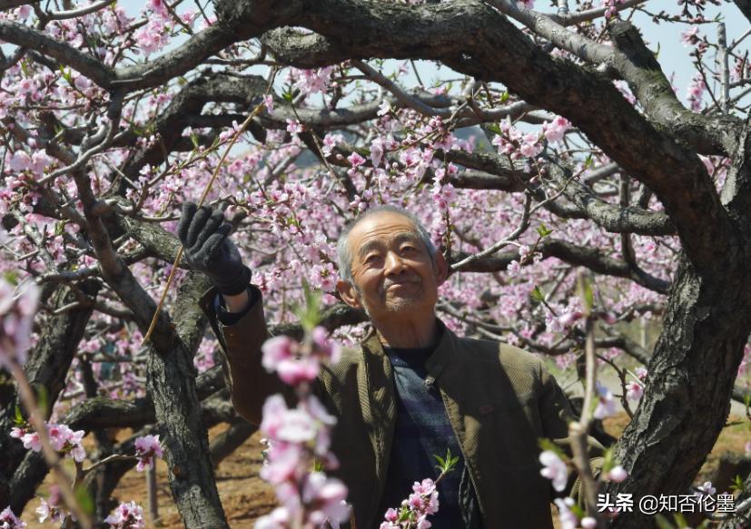 藏在农村的暴利小生意（农村最缺什么生意）