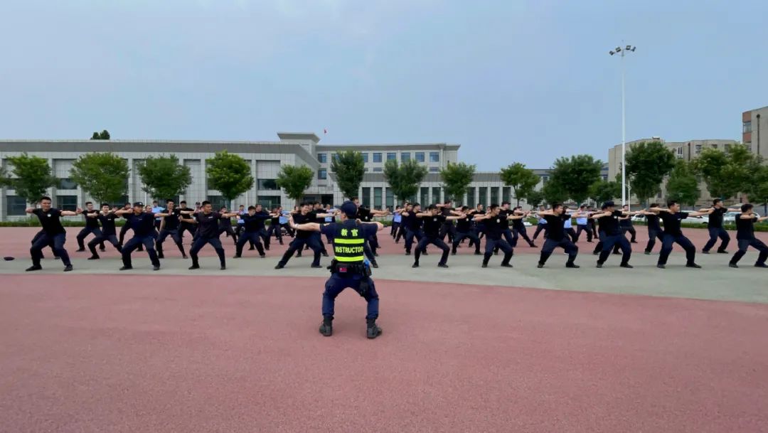 战术训练营(淄博公安训练营——常态化基础警务体技能和战术练兵活动（动态六）)