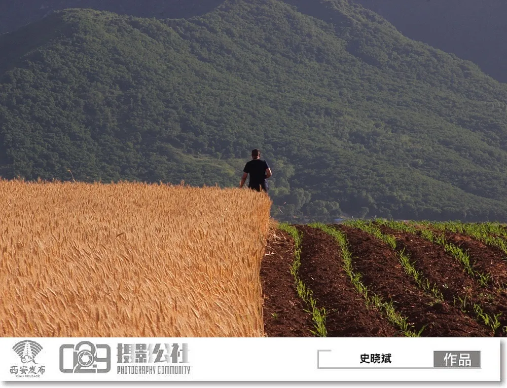 早安·西安丨6月24日可查询高考成绩