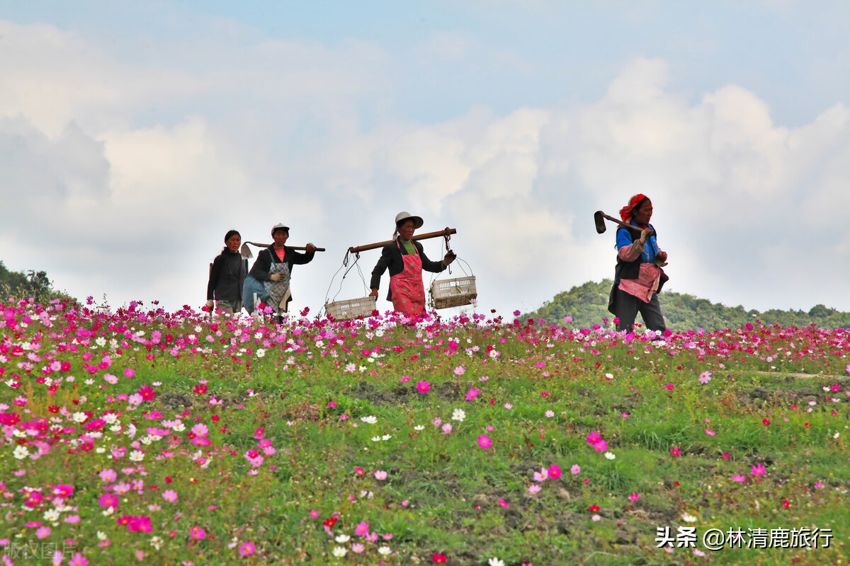 中国完美的避暑养老城市，夏天空调卖不动，农家乐吃住很便宜