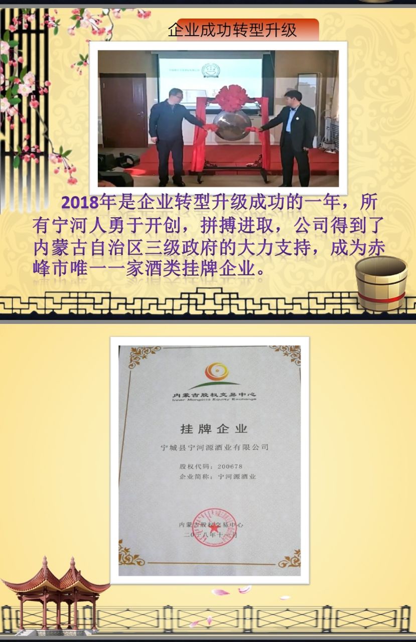 宁河源酒业有限公司是什么样的模式诚招全国代理商2020年1月22日