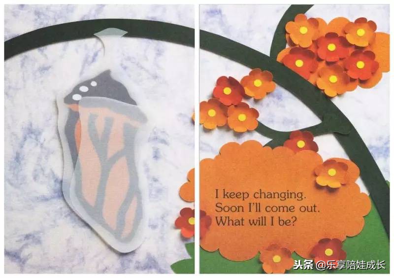 绘本磨耳朵：I'm a Caterpillar 中文《我是一条毛毛虫》！