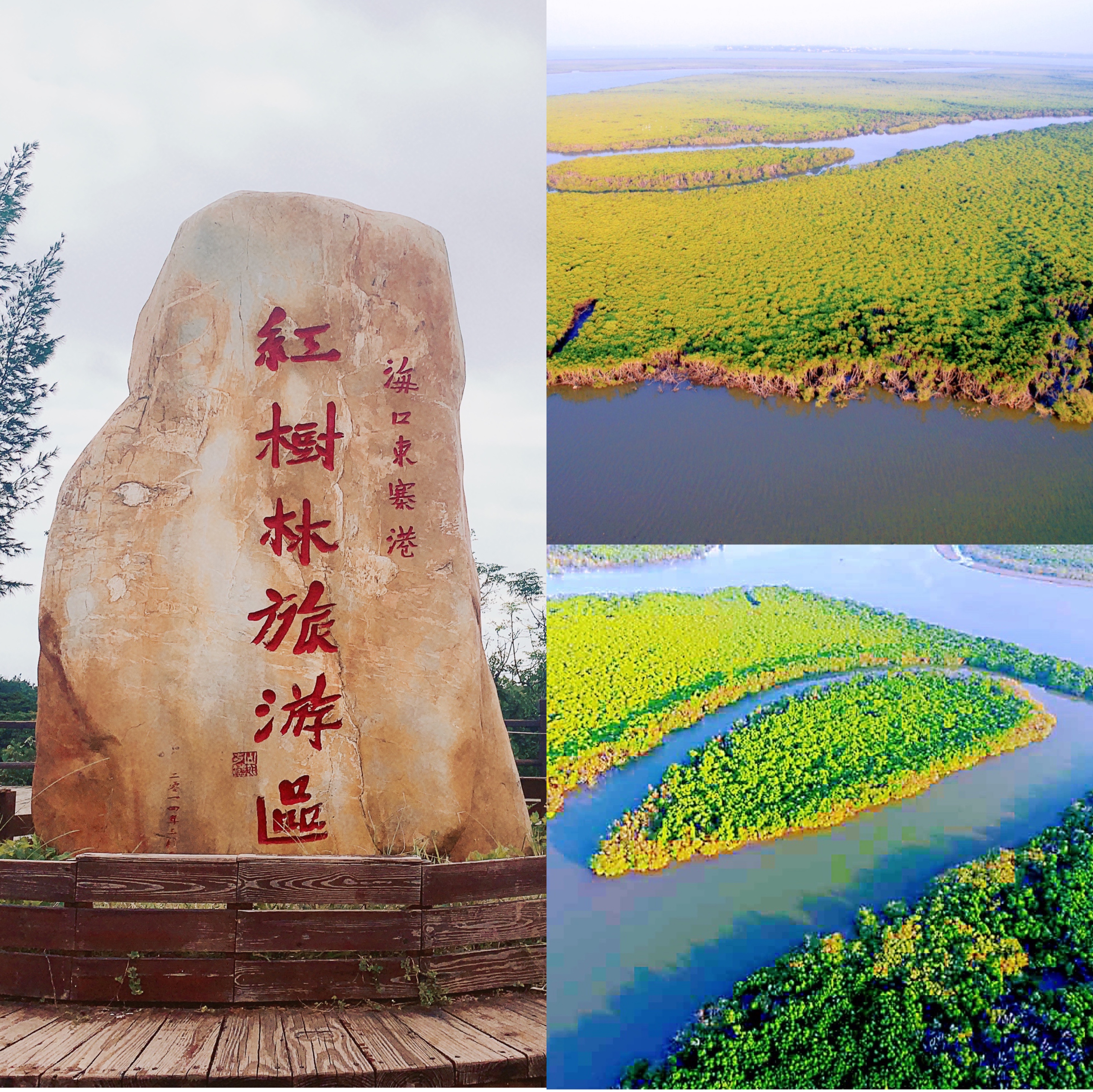 海南旅游我更喜欢海口，第三次了越看越有味道，有人和我一样吗