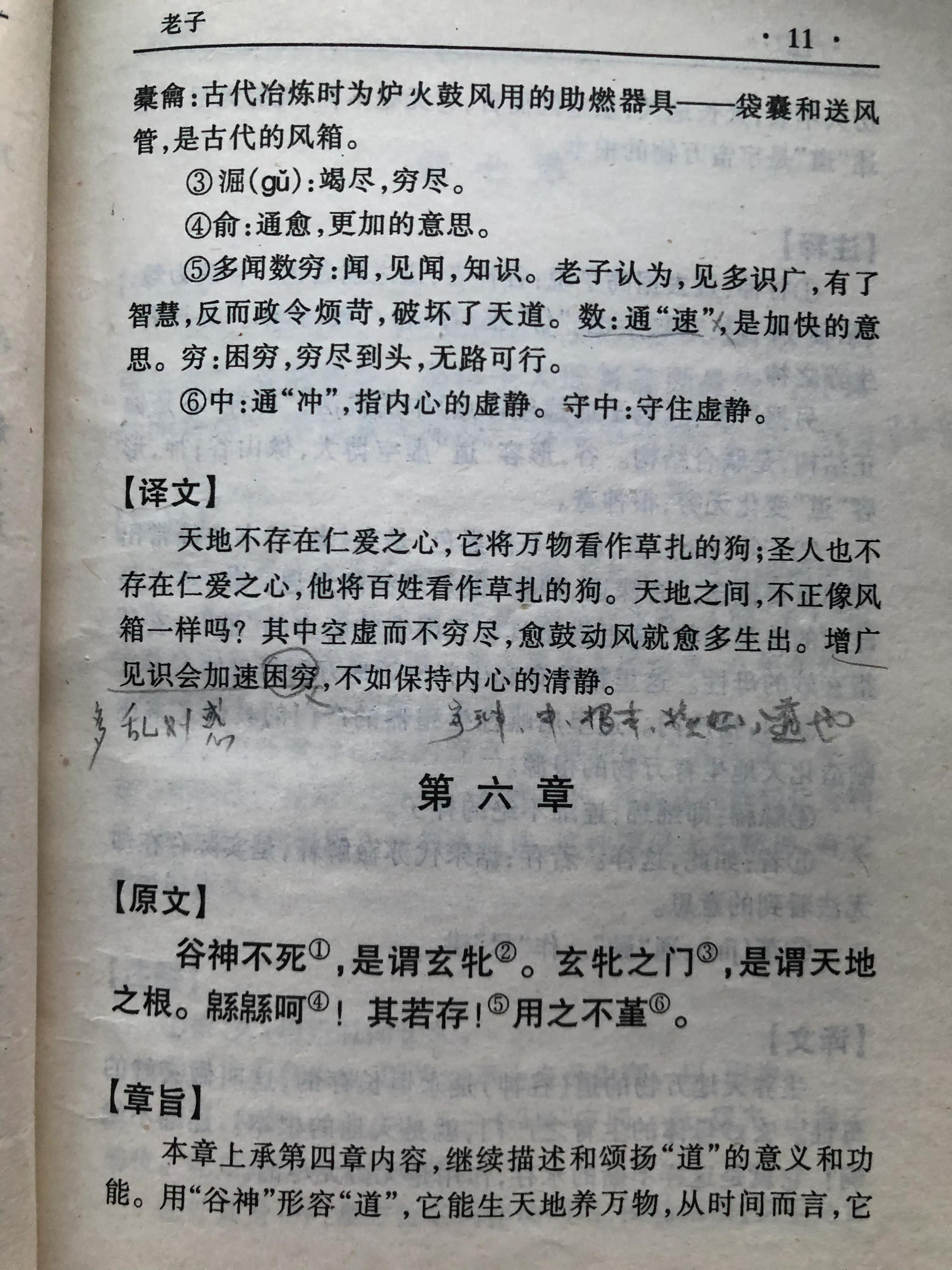 天地不仁以万物为刍狗（天地不仁以万物为刍狗出自道德经哪一章）-第3张图片-巴山号