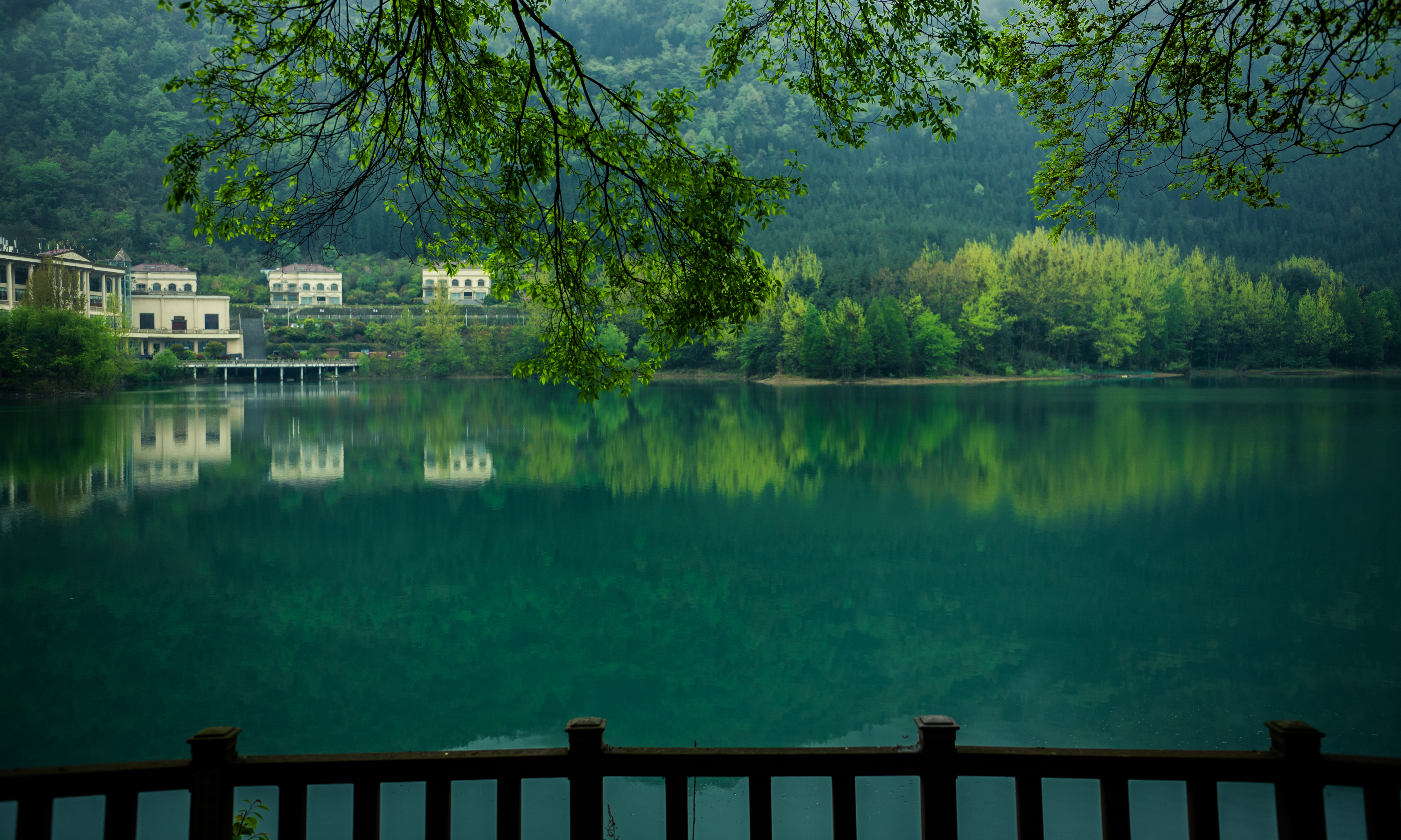 1,利用假阴天散射光的特点,拍出有质感的照片大家都知道,在摄影中