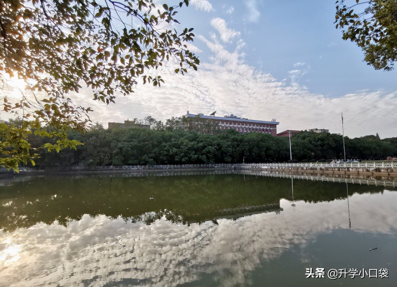 中南大学2022届保研情况：1619人获得保送资格，保研率20.01%