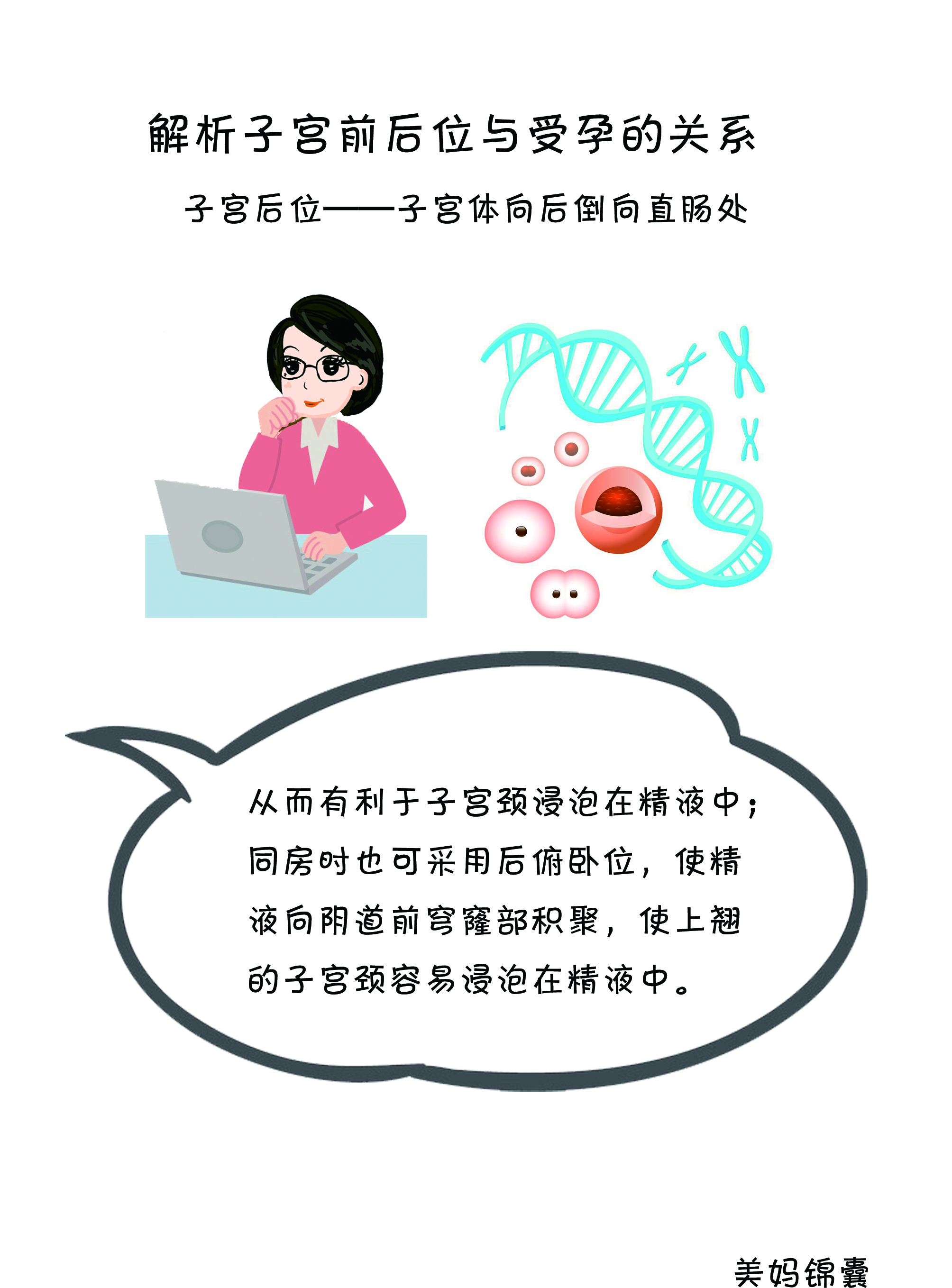 子宫颈在什么位置(女性子宫位置与受孕的关系)