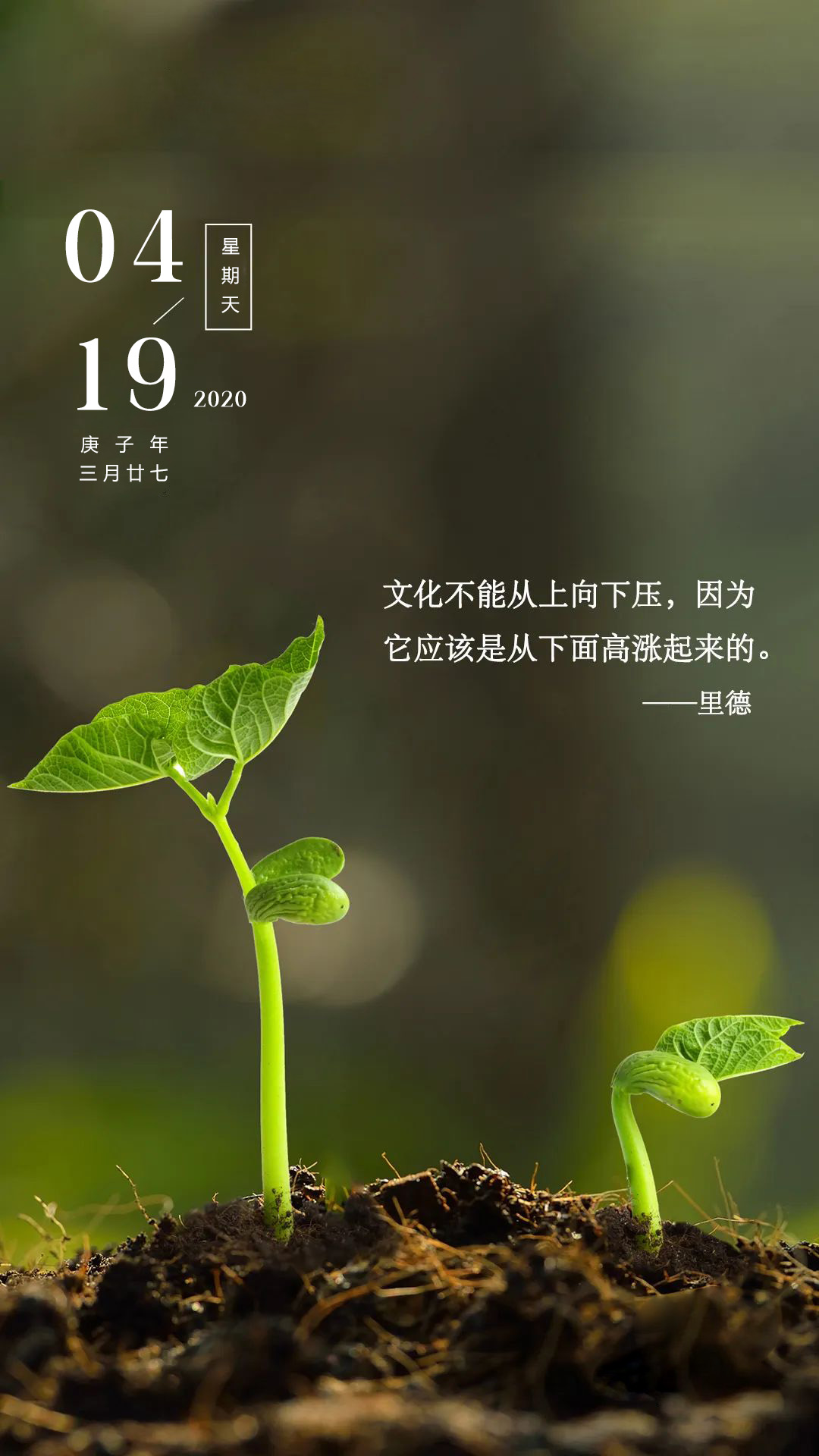 4月19早安日签图片阳光语录：让清晨带给你幸运，让旭日带给你朝气