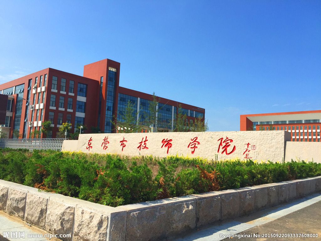 山东省东营市除了石油大学和山东胜利职业学院外，还有哪些高校