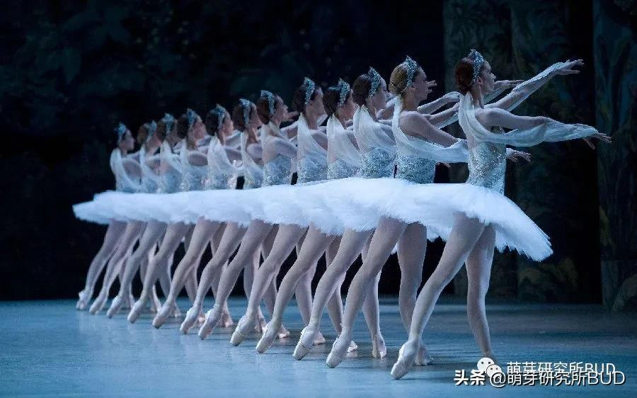 素质教育现全面开花，学校课后兴趣班该怎么选？常见信息梳理汇总