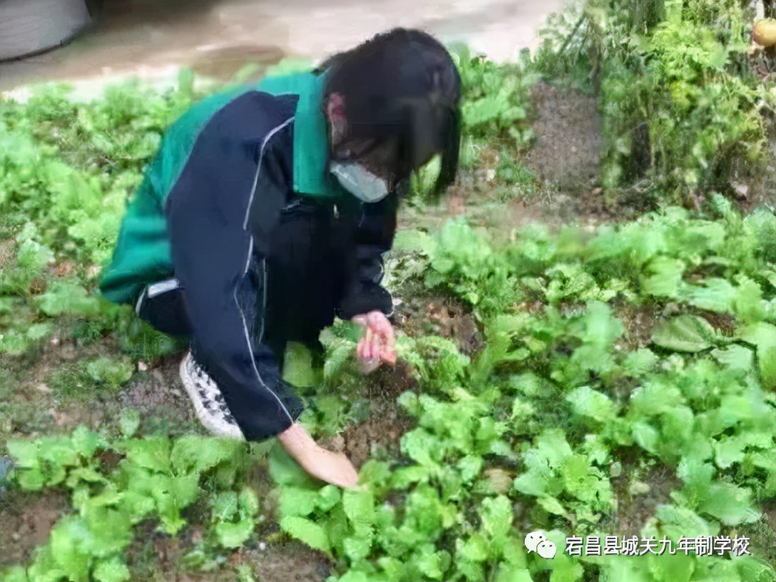 ӛ]崲hPƌWУʮ·ݡ\֮ǡux