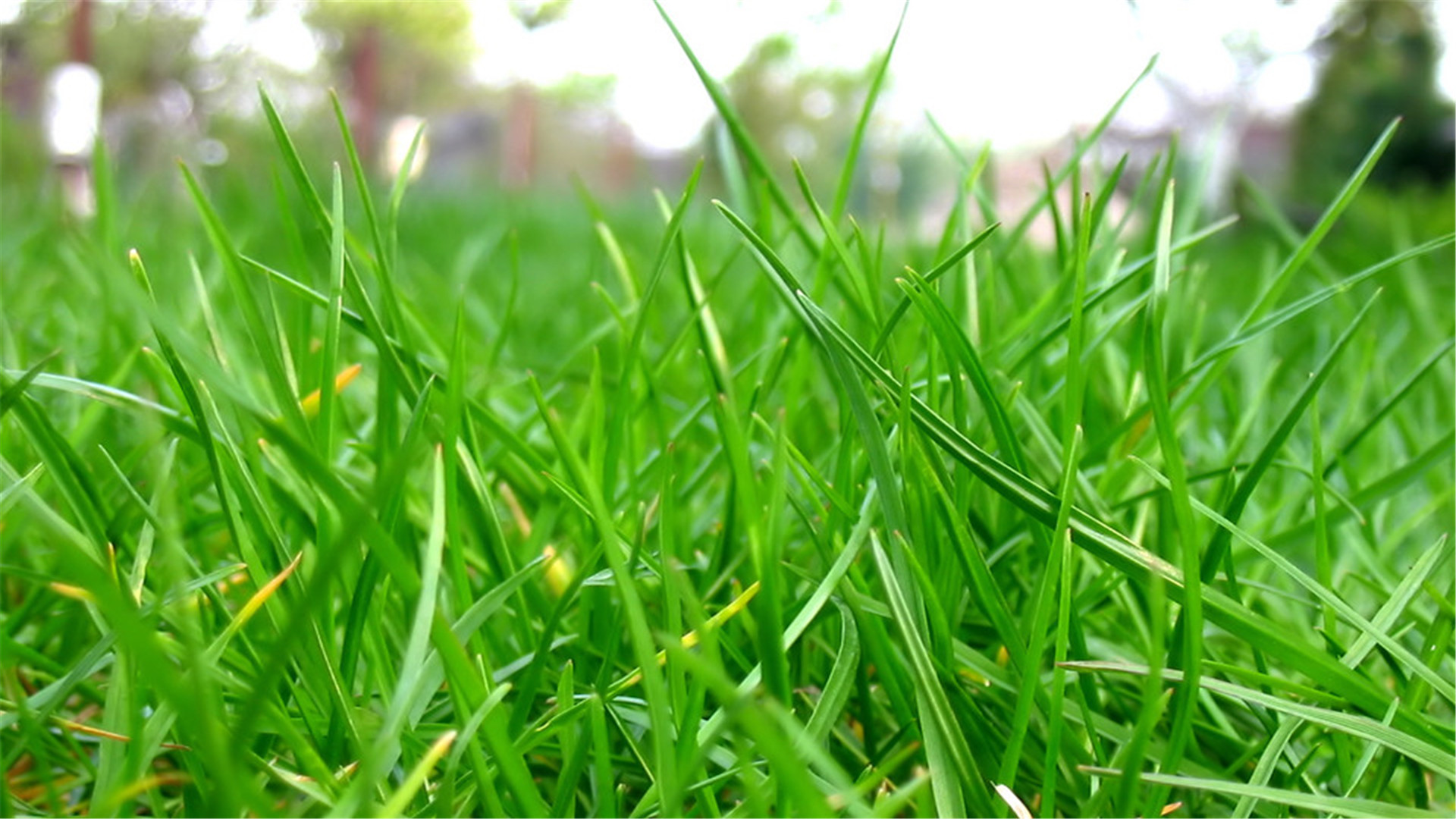 好看的桌面壁纸_电脑桌面壁纸软件-上犹电脑信息网