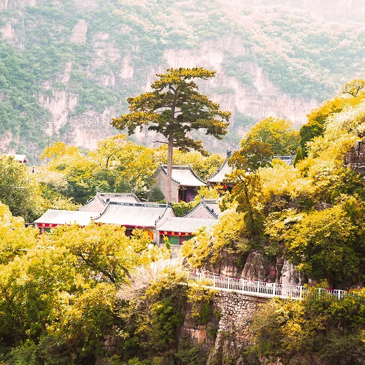 油画秋天，这里的叶子快红啦！是时候寻一场北京秋日之旅了