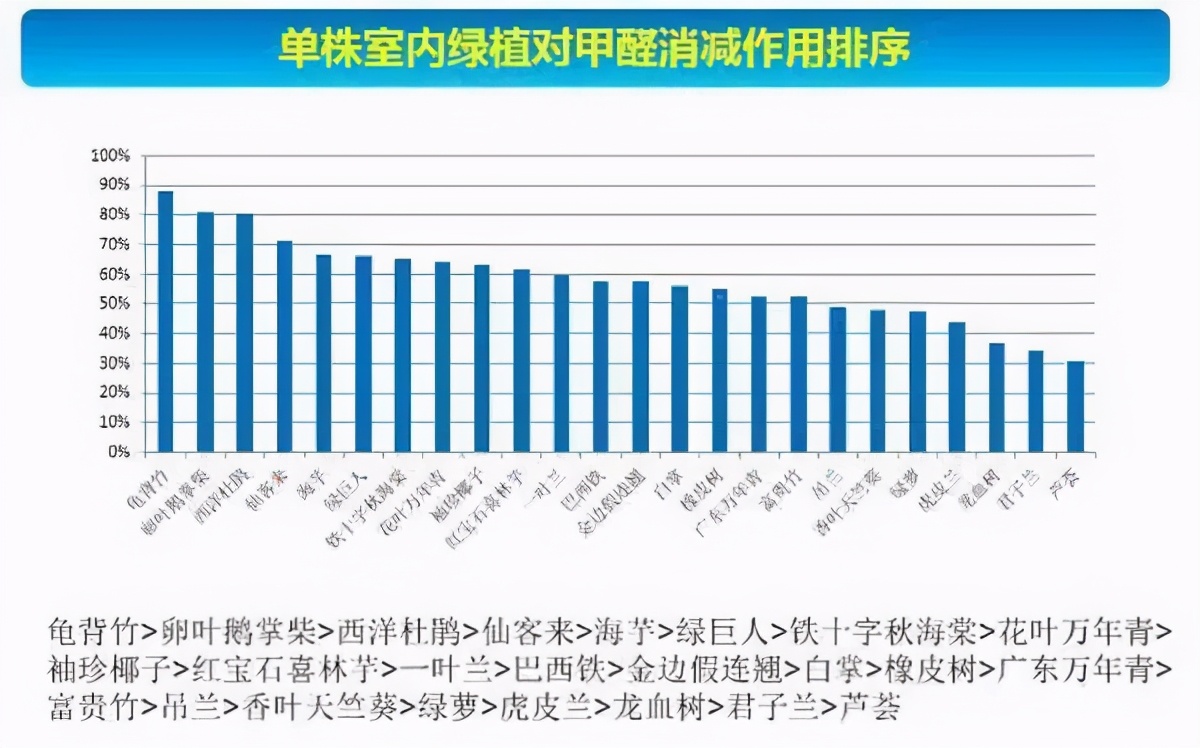 净化空气的室内植物排行（24种花净化空气最厉害）