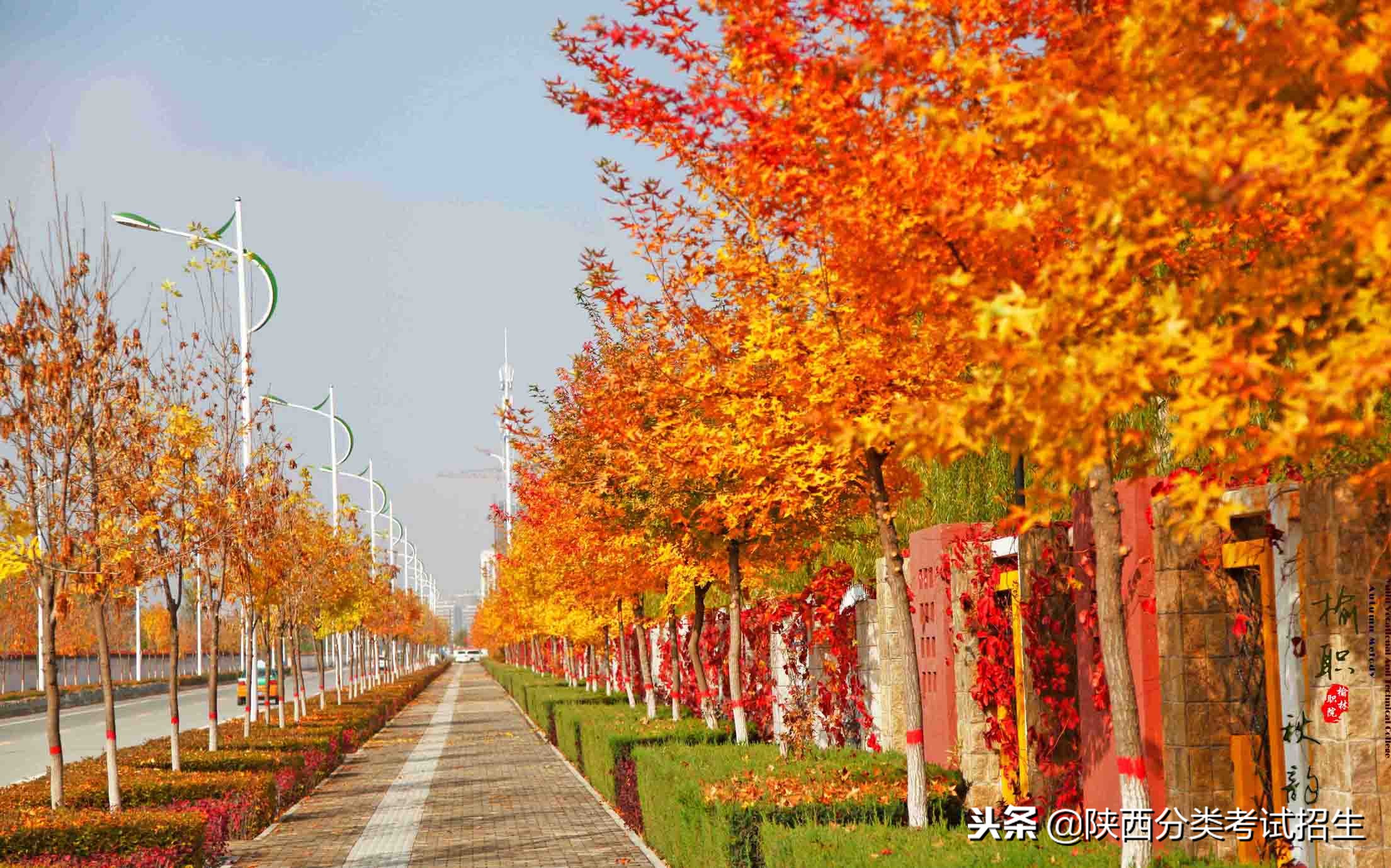 魅丽校园行之-榆林职业技术学院