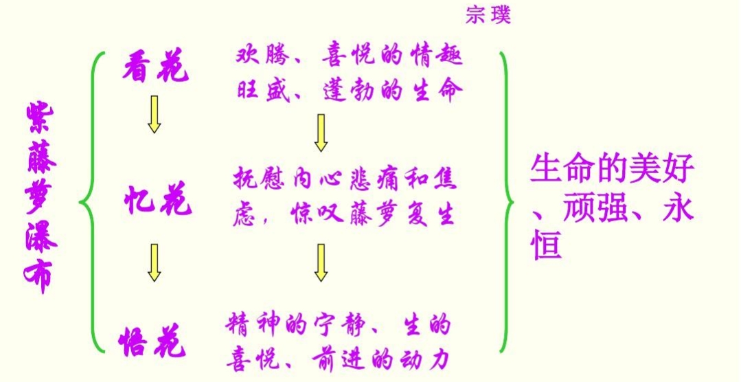 紫藤萝瀑布中的优美句子赏析