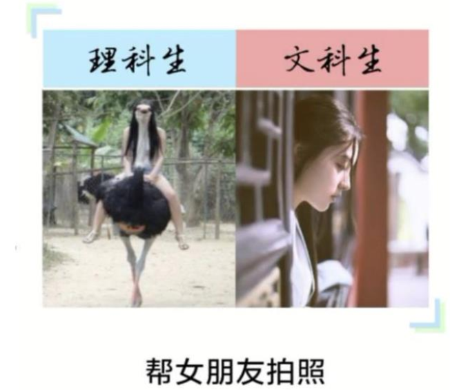 高考后才发现，文科生和理科生之间截然不同，希望你当初没选错