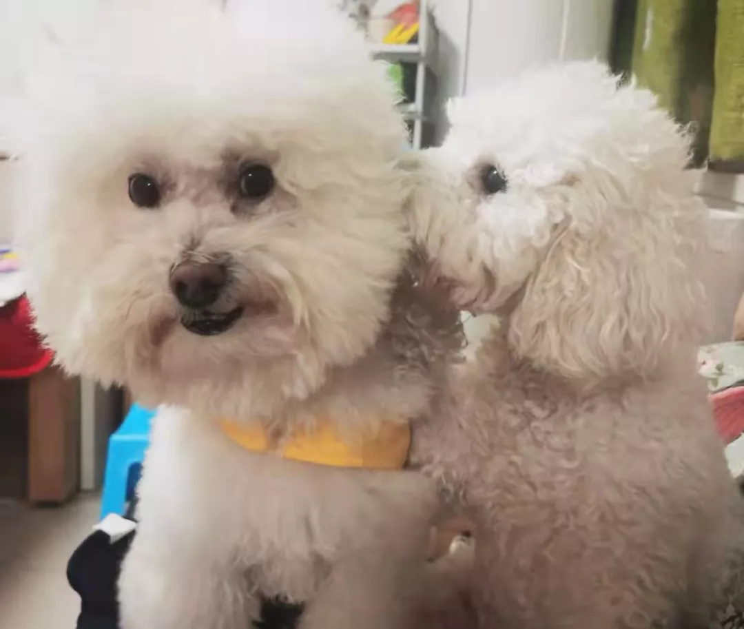 蛋卷儿都离婚了，我却还在单身……