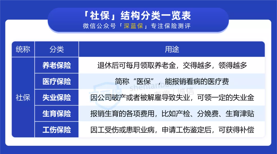 社保交15年和25年，养老金差距居然这么大！不知道就白交了