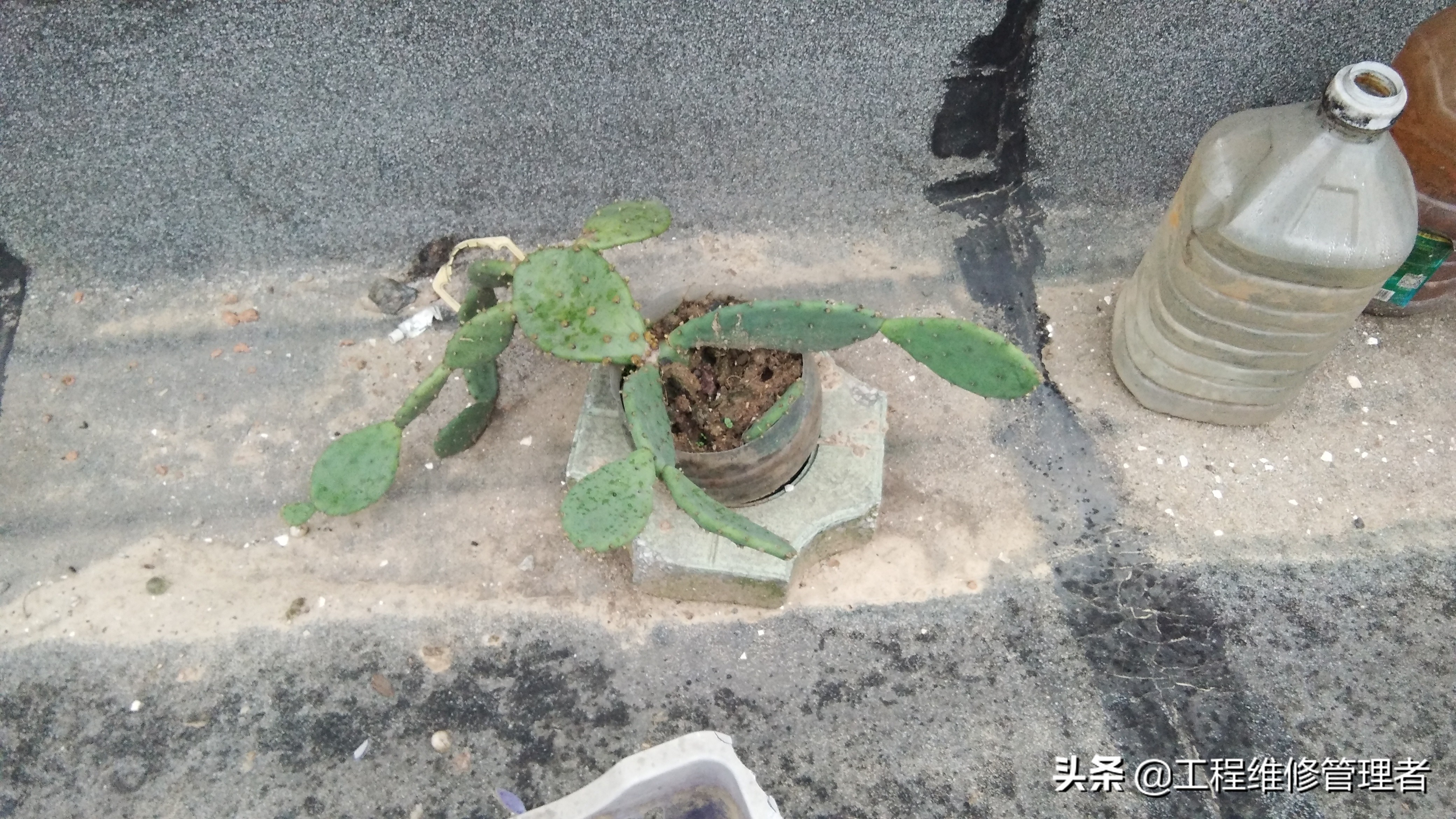 屋面经常漏水？实践证明：就是这些物件偷偷的在破坏你的防水