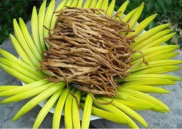 忘憂草就是黃花菜,忘憂草就是黃花菜?