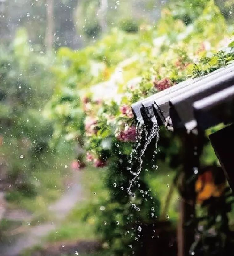 雨打芭蕉夜，坐窗听雨眠