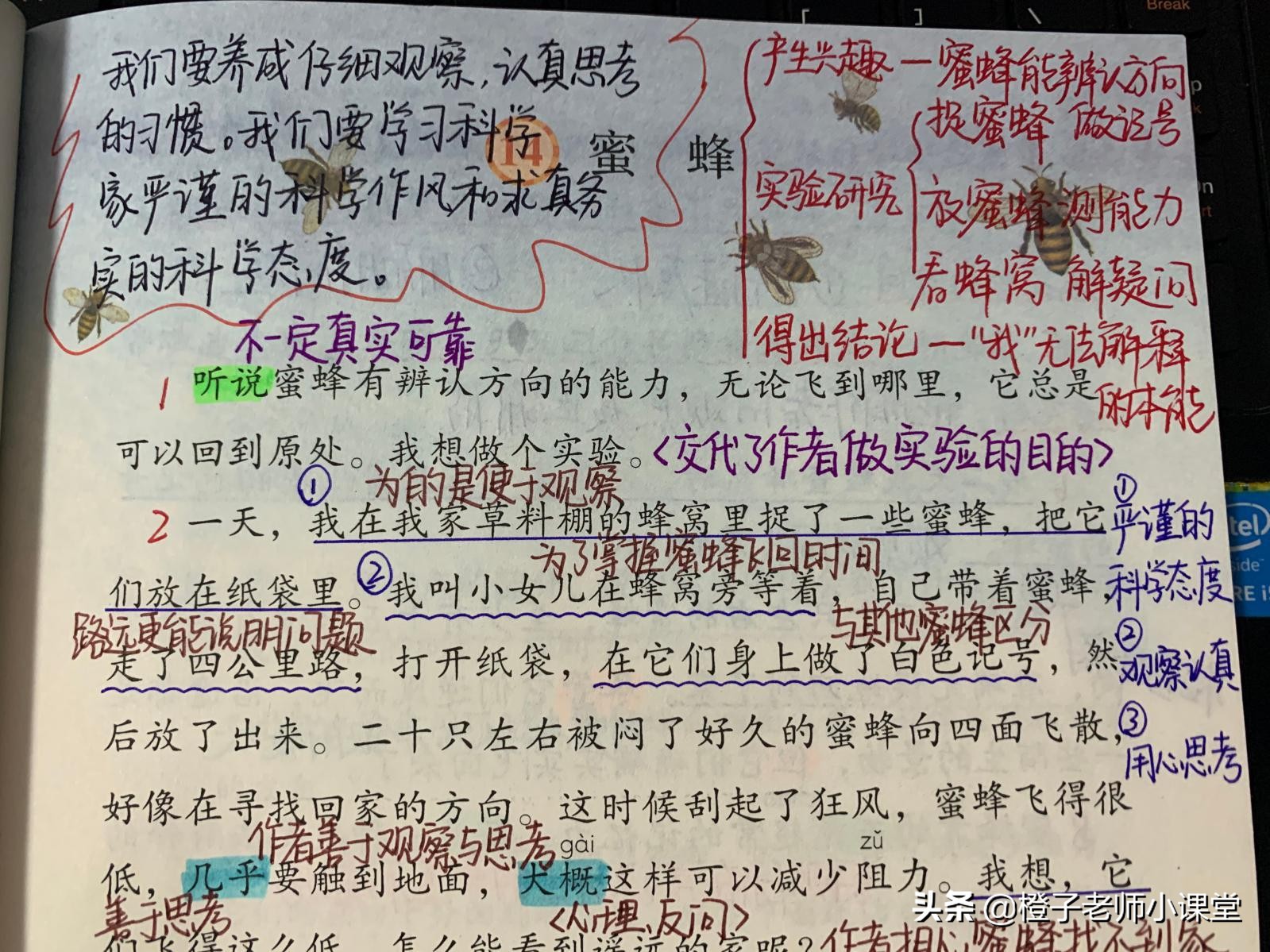 三年级课文《蜜蜂》，教师整理笔记认识法布尔，学习科学精神