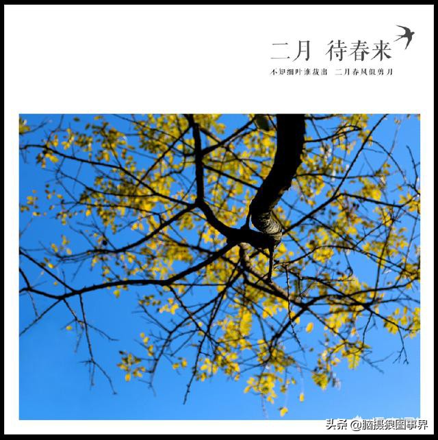 这4款专业的手机摄影修图APP，你都用过吗？