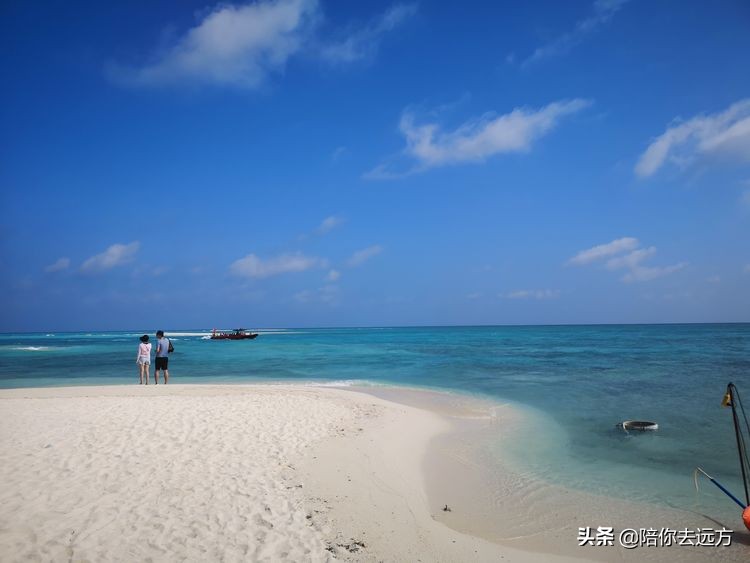 西沙~南海中的一片莲