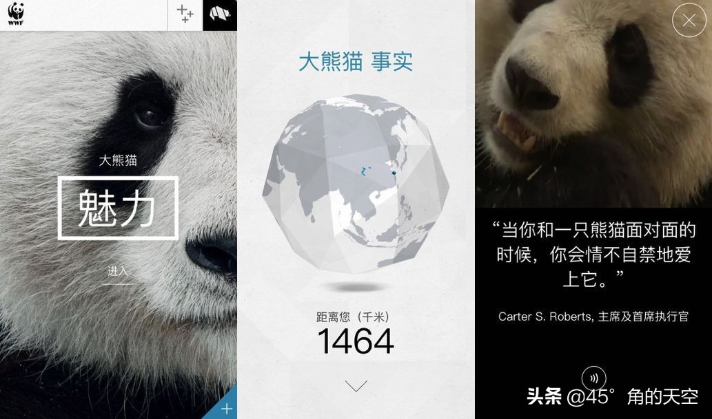 iPhone必装十大实用软件推荐：提升效率与生活品质的精选应用