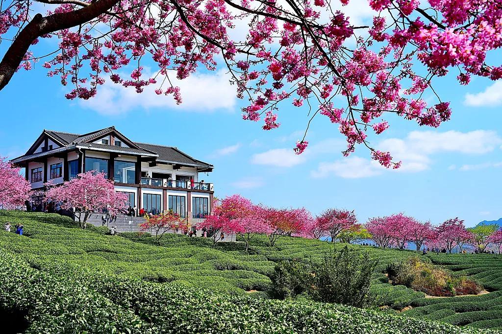 中英双语《游山西村》注释和译文