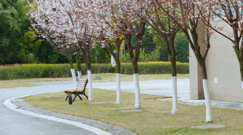 国家级一流！学生保研985，进入政府部门，四川这一专业受到媒体关注！