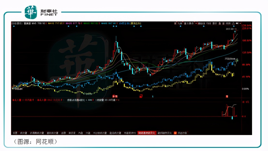 风口医美监管同行｜玻尿酸三巨头大混战，谁是医美赛道下一个茅台