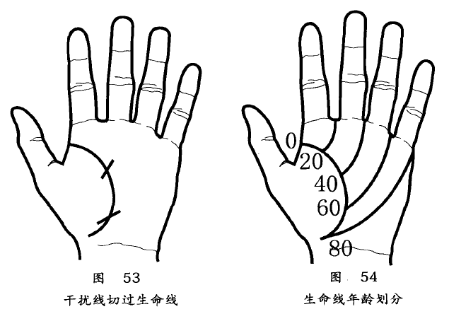 手掌中密密麻麻都是细纹称为干扰线也叫障碍线，反映近期身体状况