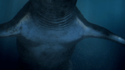 史前时代10大猛兽，霸王龙恐鳄巨齿鲨哪个最强？地球史前巨兽系列