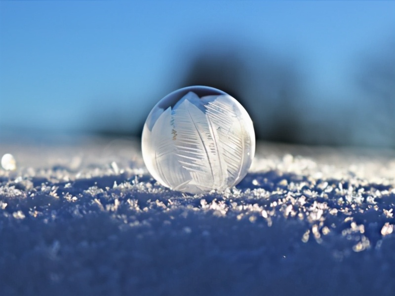 双律师言情好文！你如此矜贵，怎能为爱情折腰