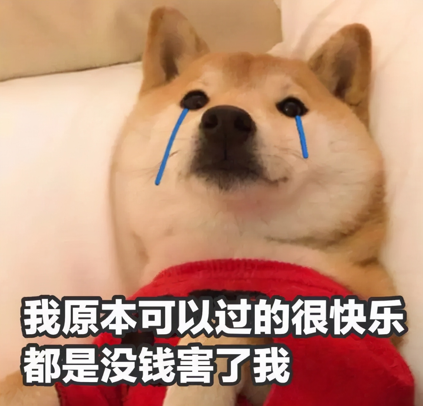 韓國后、雪花秀、呼吸、18款精華安瓶小樣使用心得